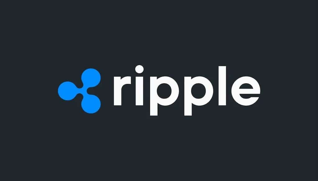 Ripple Custody review